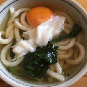 簡単！ほうれん草入りうどん